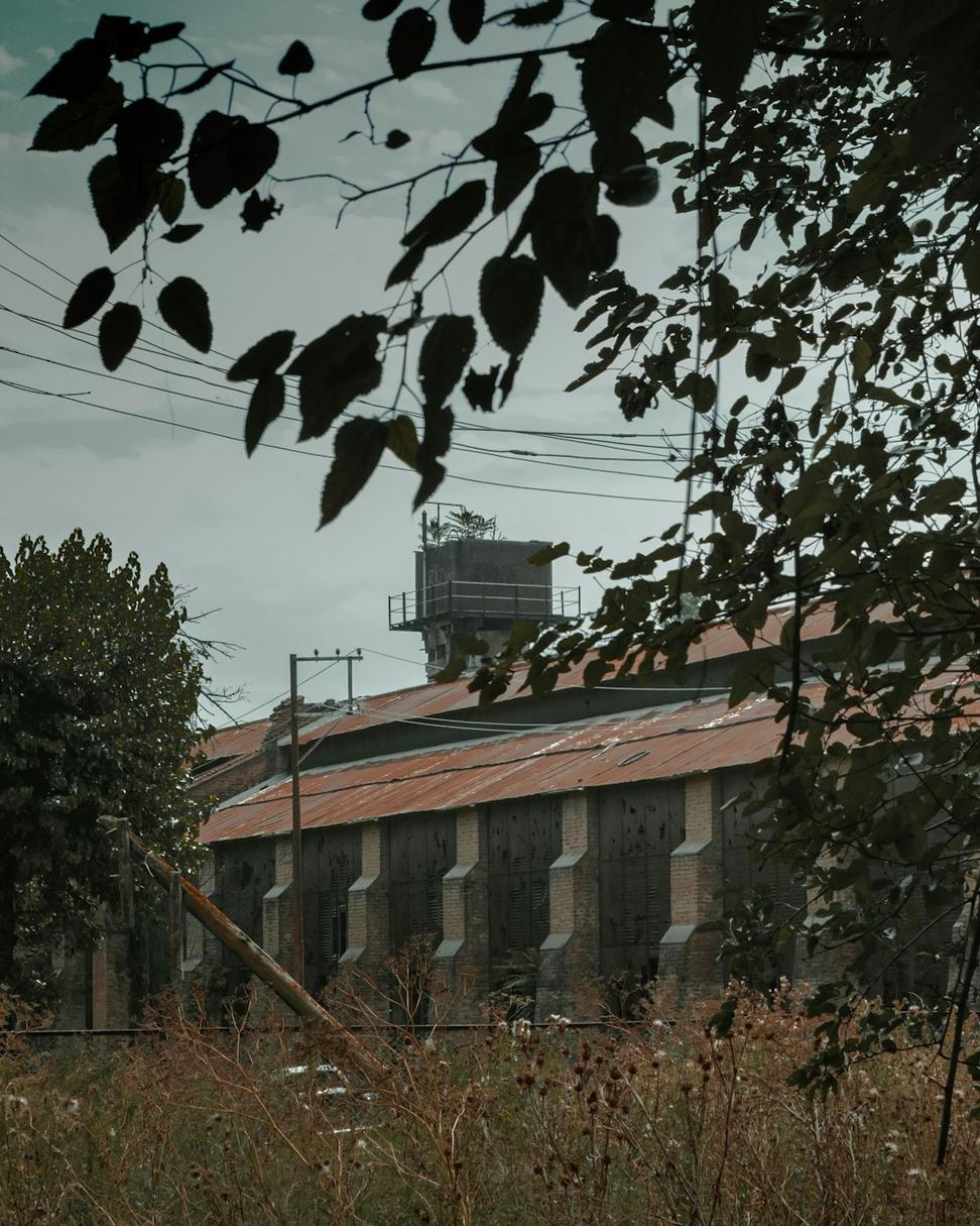 Before restoration